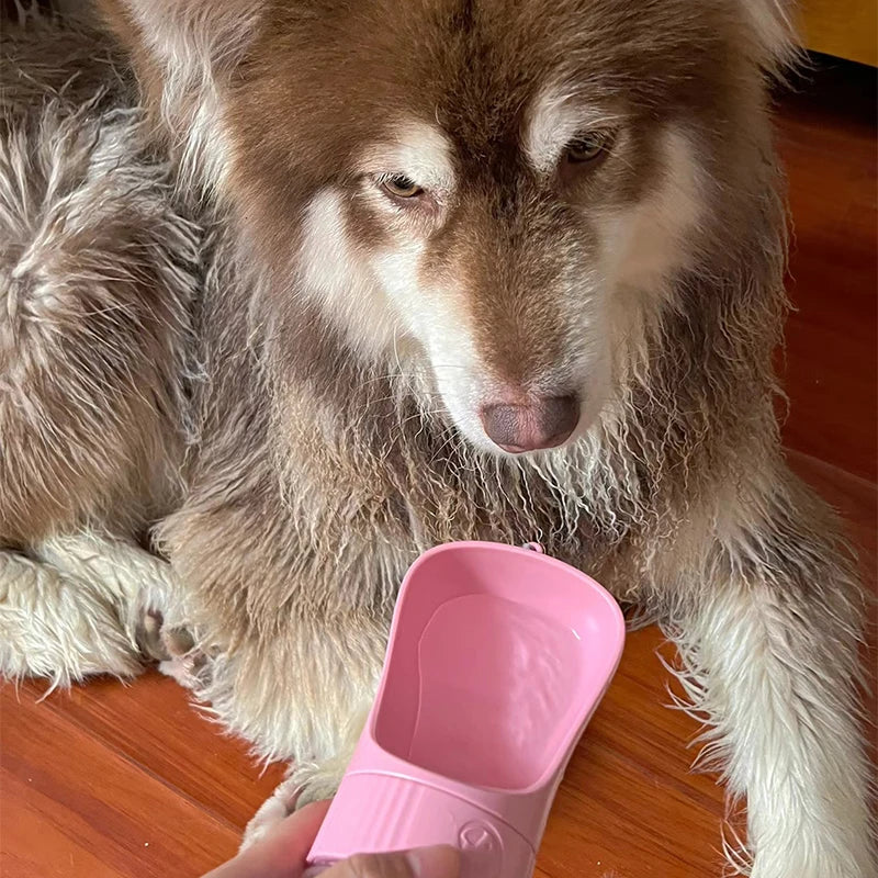 Distributeur portable d’eau et de nourriture